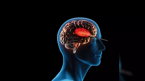 Representative Image (Photo/IANS)