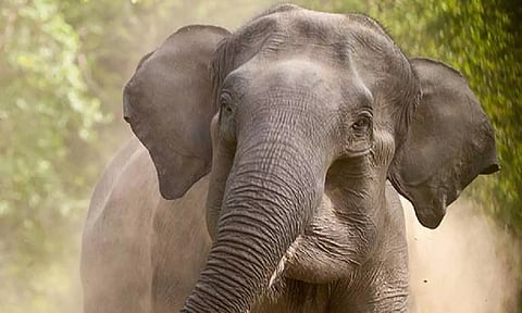 Representative Image&nbsp;