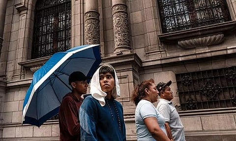 Representative image(ANI)