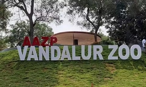 Arignar Anna Zoological Park