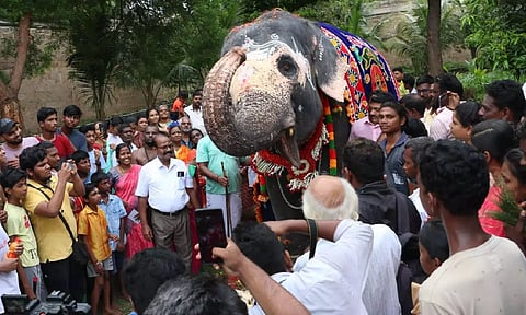 Thiruvanaikovil Sri Jambukeswarar Akilandeswari temple elephant Akila celebrated its 22nd birthday on Friday