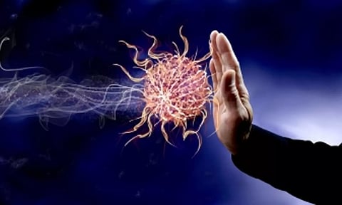 Representative Image (IANS)