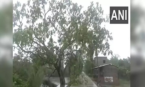 Morning visuals from Northe 24 Parganas, West Bengal (ANI)