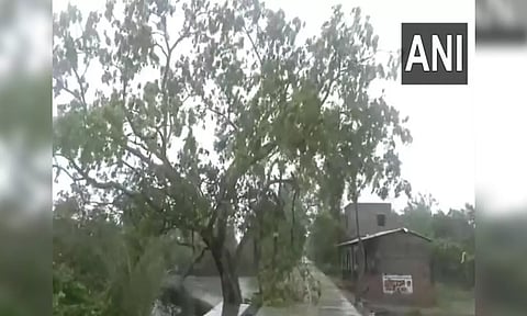 Morning visuals in West Bengal (ANI)