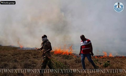 Fire in Pallikaranai marshland (Photo: Justin George)