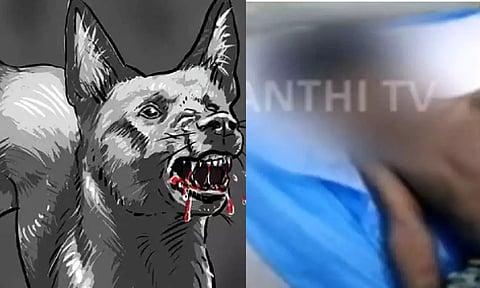 (L-R) Representative Image (Illustration: Ritwikkh Roy), Screengrab of the 12-year-old boy (Thanthi TV)