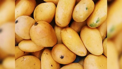 Representative Image (Photo/ANI)