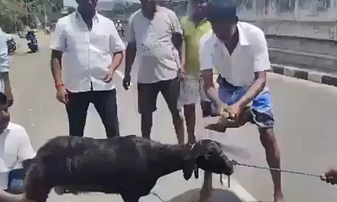 A screen of the video in question, before the goat was slayed (Photo: X /@narayanantbjp)