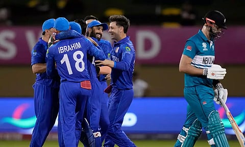 Afghanistan players celebrate the dismissal of New Zealand's Daryl Mitchell, right, during an ICC Men's T20 World Cup cricket match (PTI)