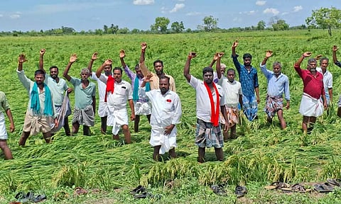 &nbsp;Farmers protest seeking relief for crop damage in Thanjavur on Sunday.