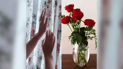 Representative Image (Photo/ANI)