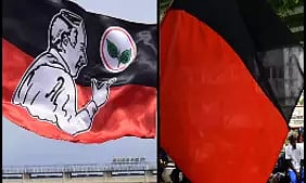 AIADMK and DMK flag