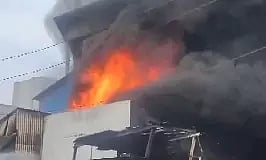 Representative image (Photo/ANI)