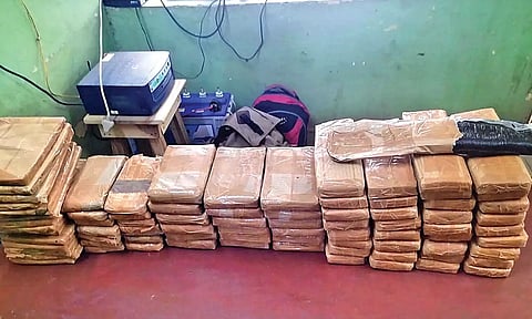 Seized Drug Hashish