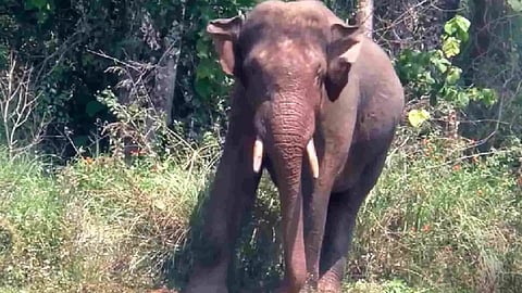 Representative Image&nbsp;