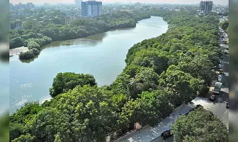 Adyar river&nbsp;