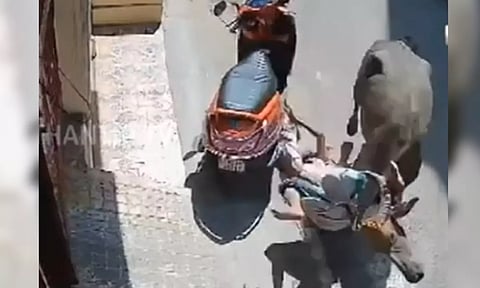 Screengrab from the video (Thanthi TV)