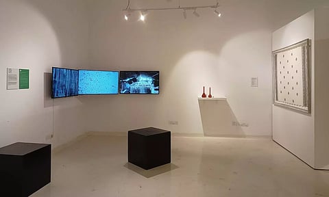 Karolina's project&nbsp;