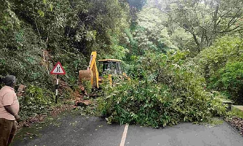 A tree fell on the Valparai-Pollachi Road