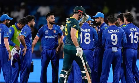 T20 World Cup: Australia skipper Mitchell Marsh after being dismissed against Afghanistan (AP)