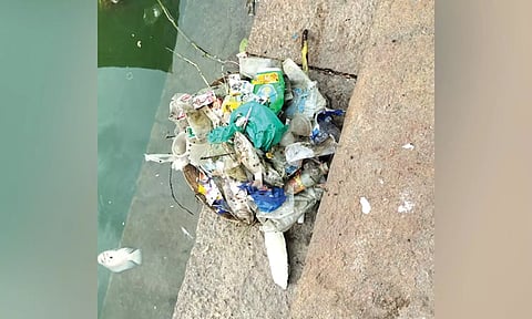Plastic waste and dead fish found in Saravana Poigai in Tiruparankundram, Madurai