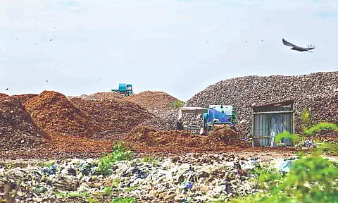 Processing of legacy waste going on at Perungudi landfill, which would be completed in the next 2 months (Justin George)
