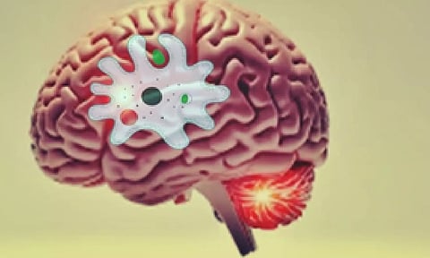 Representative Image (IANS)