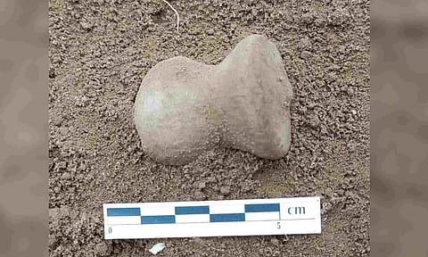 Tamil Nadu State Department of Archaeology unearthed a flint seal in the ongoing excavation work at Sennanur site