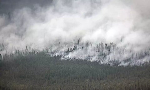 Wildfires burning huge chunks of forest in Canada (AP)