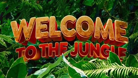 Poster of Welcome to the Jungle (Image: Instagram)