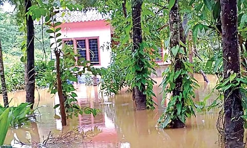 A waterlogged residential neighbourhood in the Nilgiris