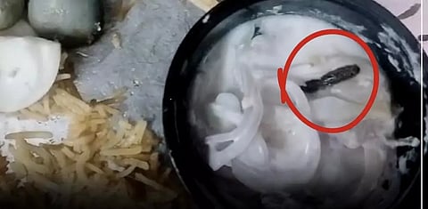 Dead worm found in raita (Photo:X)