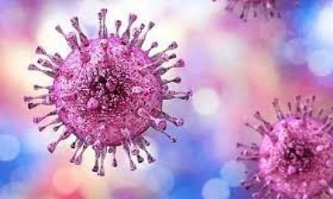 Representative Image (IANS)