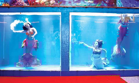 Marine Expo 2024, Chennai’s largest aquatic attraction