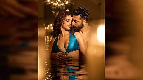 Vicky Kaushal, Triptii Dimri (Image: Instagram)