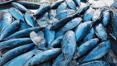 Representative Image&nbsp;