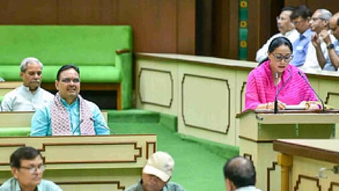 Rajasthan Finance Minister Diya Kumari