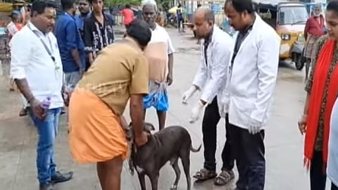 Dog getting  anti-rabies vaccination (Representative image)
