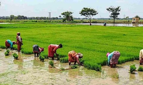 Representative Image&nbsp;