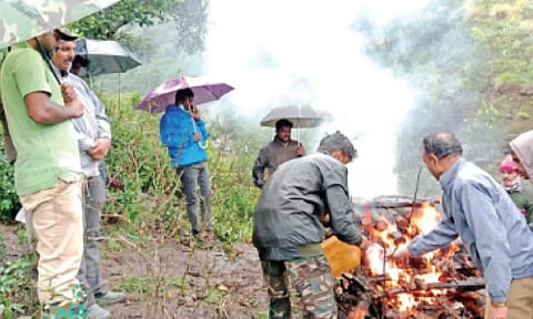 Forest officials consign tiger’s carcass to fire