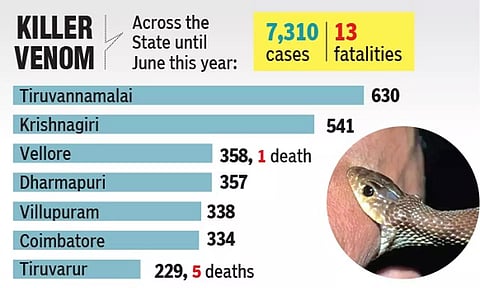 Pictorial representation