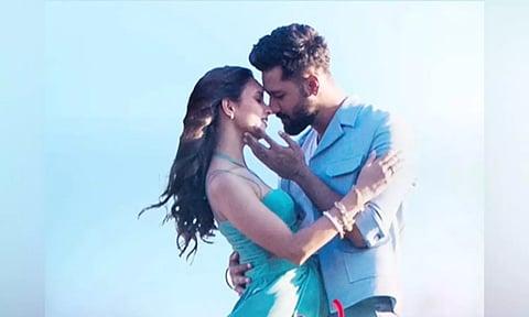 Vicky Kaushal, Triptii Dimri (Instagram)