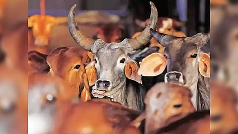 Representative Image