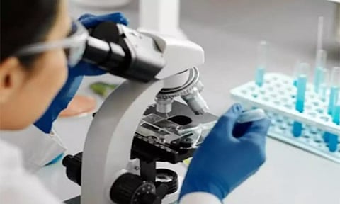 Representative Image (ANI)