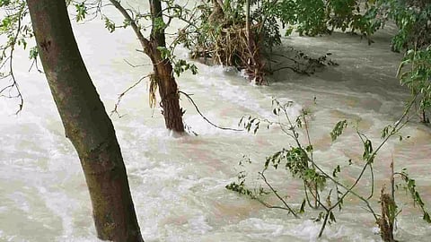 Visual from the spot