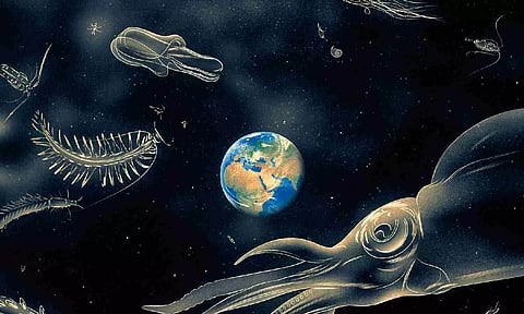 Representative Image