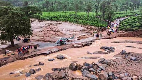 Wayanad Landslides (Photo/PTI)