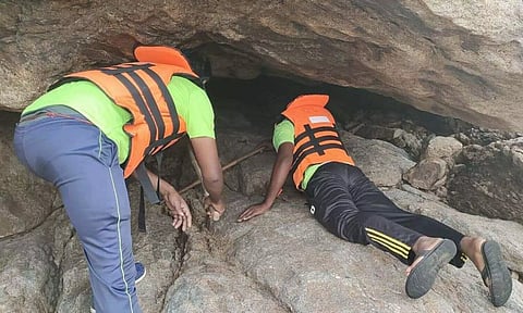 A search is on for dogs that went into hiding