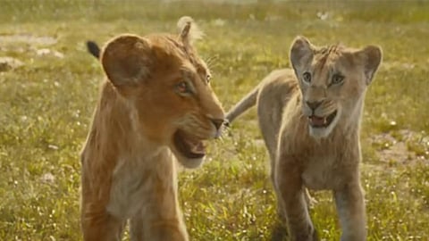 From the trailer of 'Mufasa: The Lion King' (Screengrab)