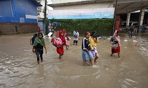 Representative Image (ANI)